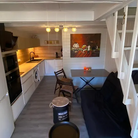Charmante Avec Mezzanine, Climatisation, Wifi, Animaux Admis, Parking Securise - Fr-1-798-50 *